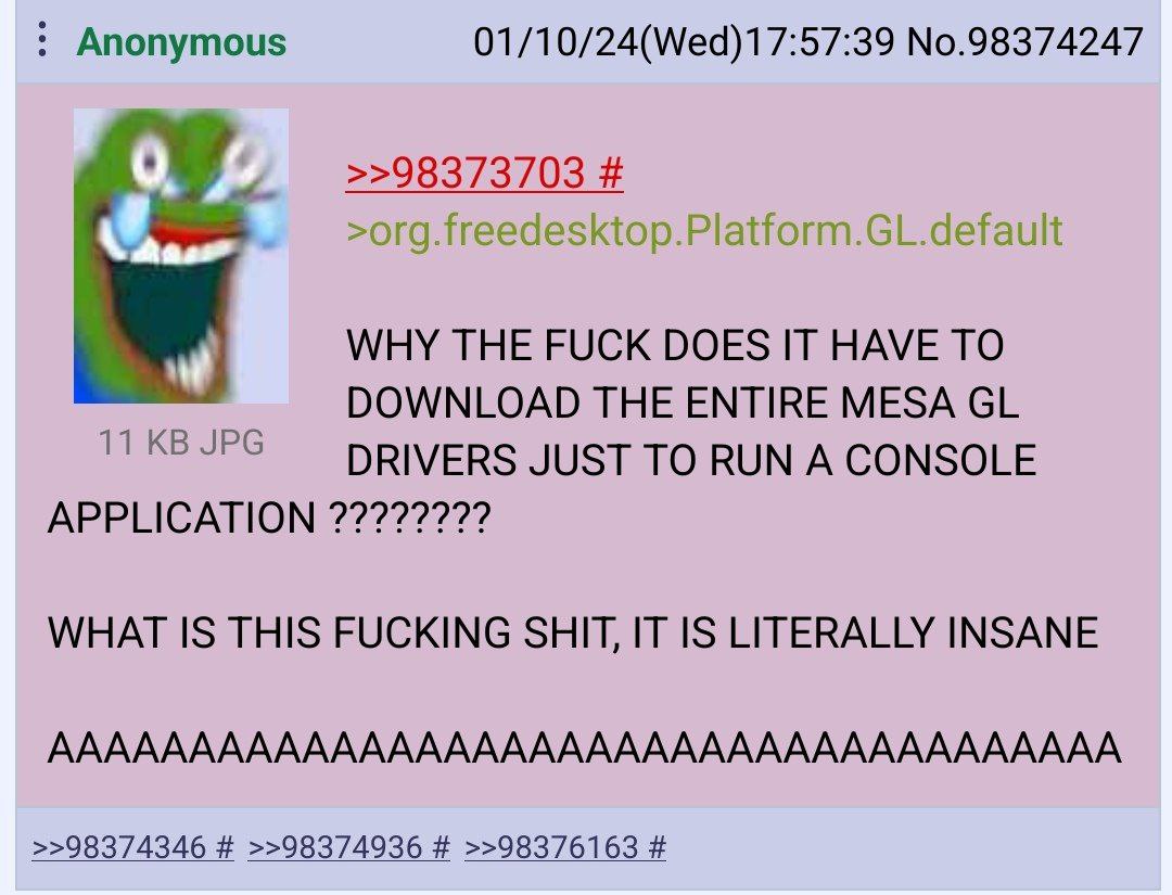 Anonymous 01/10/24(Wed)17:57:39 No.98374247 WHY THE FUCK DOES IT HAVE TO DOWNLOAD THE ENTIRE MESA DRIVERS JUST TO RUN A CONSOLE APPLICATION WHAT IS THIS FUCKING SHIT, IT IS LITERALLY INSANE АААААААААА