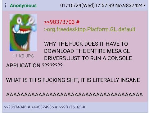 Anonymous 01/10/24(Wed)17:57:39 No.98374247 WHY THE FUCK DOES IT HAVE TO DOWNLOAD THE ENTIRE MESA DRIVERS JUST TO RUN A CONSOLE APPLICATION WHAT IS THIS FUCKING SHIT, IT IS LITERALLY INSANE АААААААААА