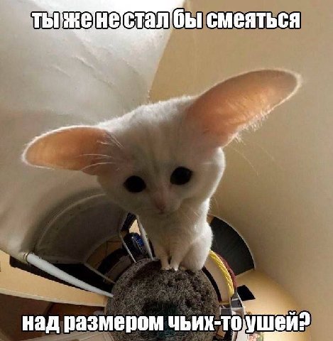 смеяться над размером чьих-то
