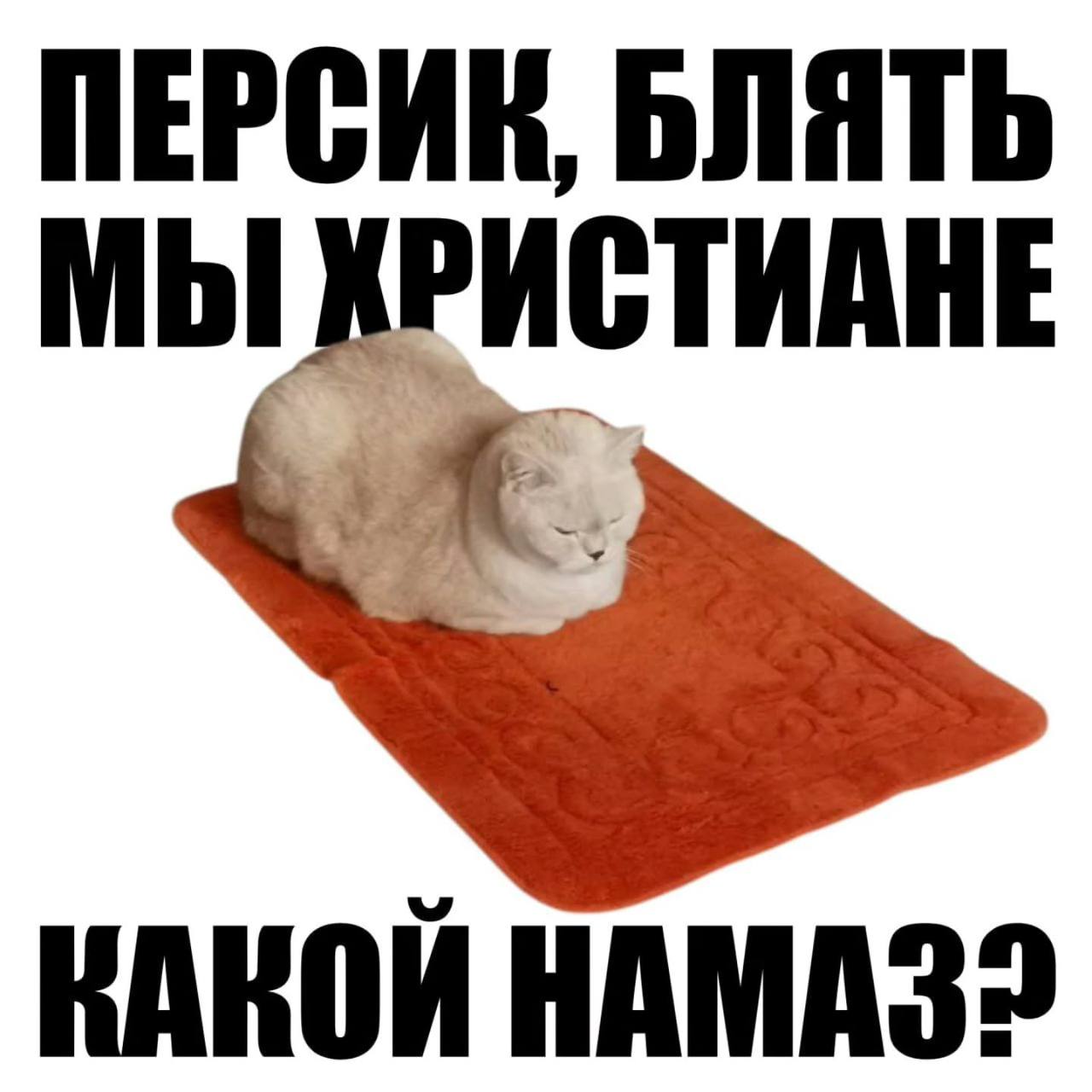 Всем мои подписчикам салам