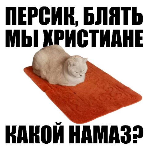 Всем мои подписчикам салам