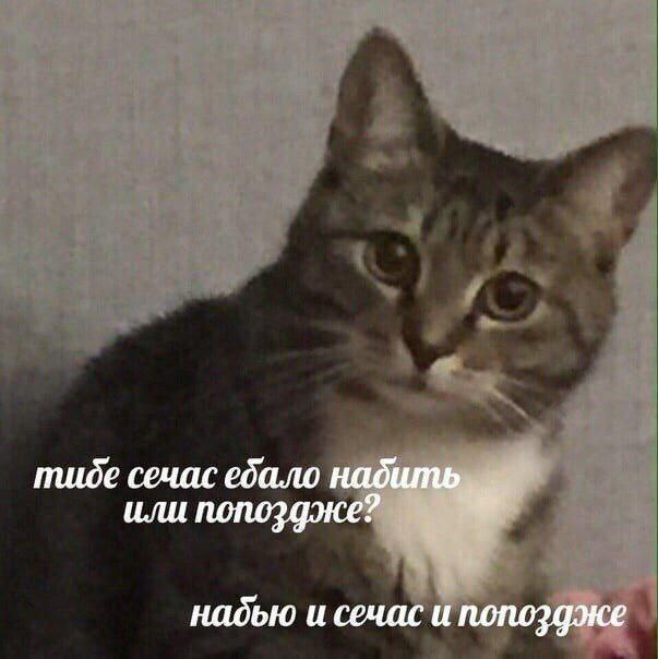 Для реально важных переговоров