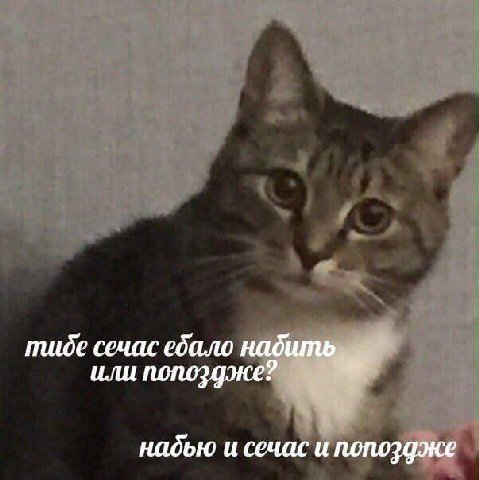 Для реально важных переговоров