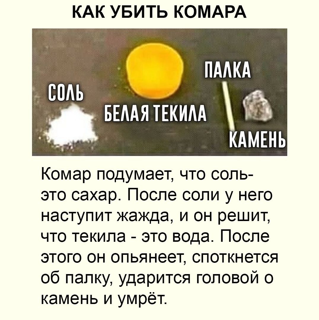 КАК УБИТЬ КОМАРА ПАЛКА СОЛЬ КАМЕНЬ Комар подумает, что соль- это сахар. После соли у него наступит жажда, и он решит, что текила это вода. После этого он опьянеет, споткнется об палку, ударится голово