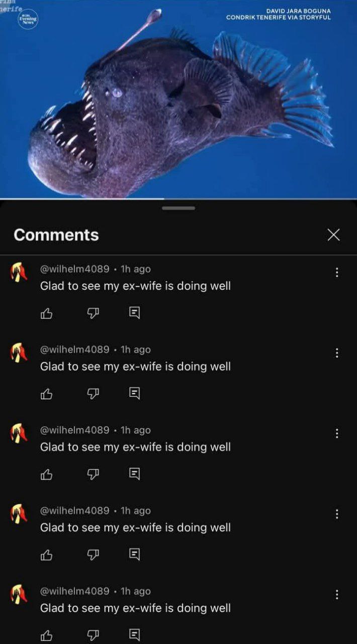 JARA ВОСУМА к CONDRIK TENERIFE VIA STORYFUL 4 Comments Glad to see my ex-wife is doing well Glad to see my ex-wife is doing well Glad to see my ex-wife is doing well Glad to see my ex-wife is doing we