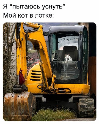 Я *пытаюсь уснуть* Мой кот в лотке: