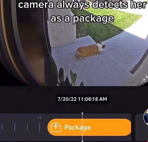 сат ега as а рас kag я 7/20/22 11:06:18 A Package