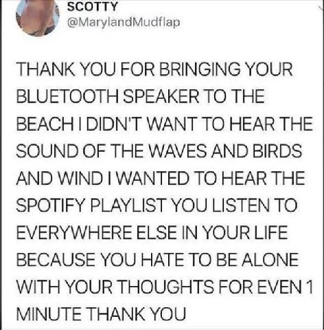 @MarylandMudflap THANK YOU FOR BRINGING YOUR BLUETOOTH SPEAKER TO THE BEACH DIDN'T WANT TO HEAR THE SOUND OF THE WAVES AND BIRDS AND WIND WANTED TO HEAR THE SPOTIFY PLAYLIST YOU LISTEN TO EVERYWHERE E