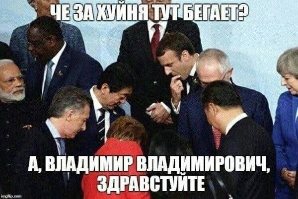 А, ВЛАДИМИР ВЛАДИМИРОВИЧ, ЗДРАВСТУИТЕ com