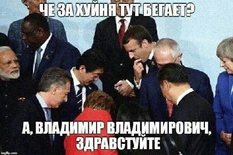 А, ВЛАДИМИР ВЛАДИМИРОВИЧ, ЗДРАВСТУИТЕ com