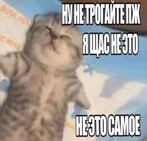 AURETPOTANTE "ЩЕ HEGTOCAMOE®