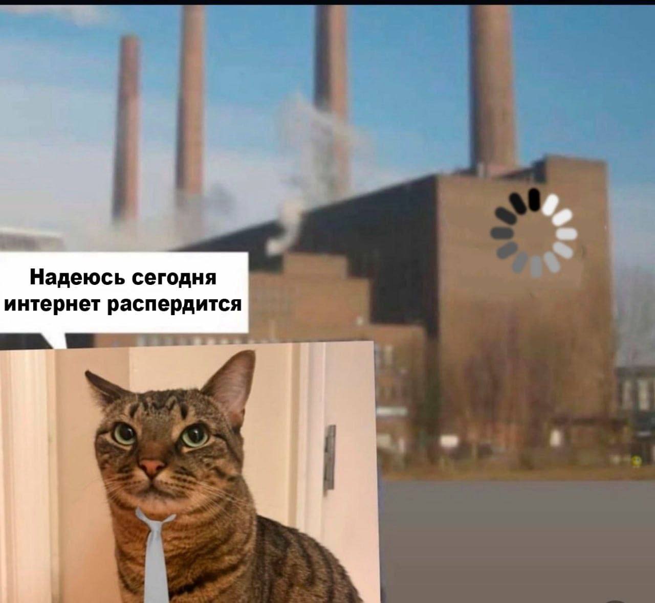 Надеюсь сегодня интернет распердится