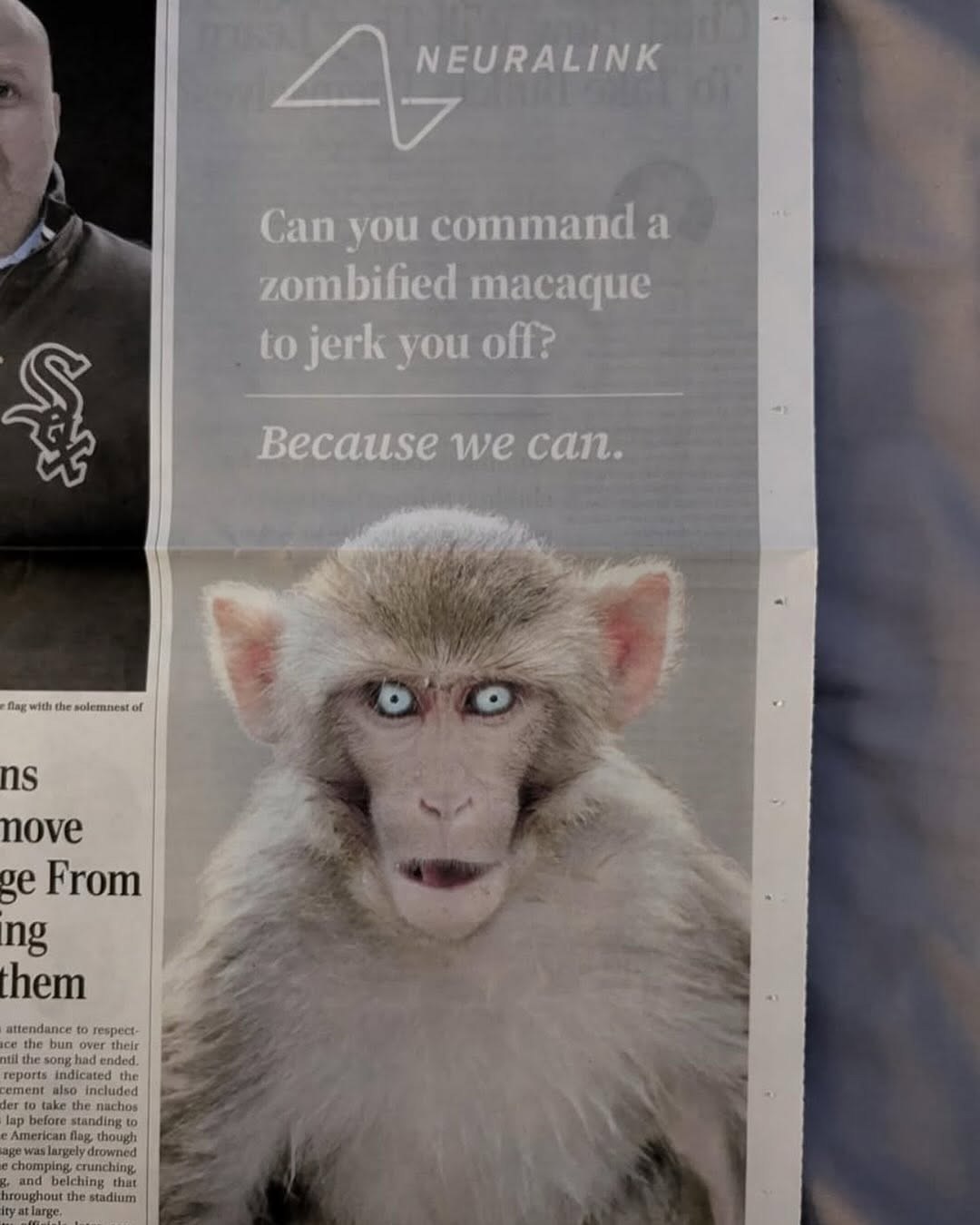 Can you command а zombified macaque to jerk you off? Because we cat. Bag with the of love From the bun over thelr
