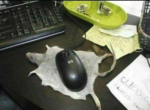 о к if