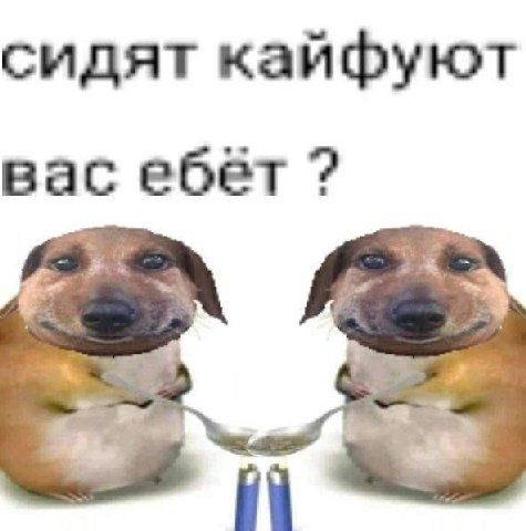 сидят кайфуют вас ебет