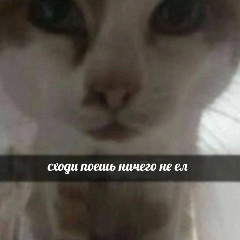 сходи поешь ничего не