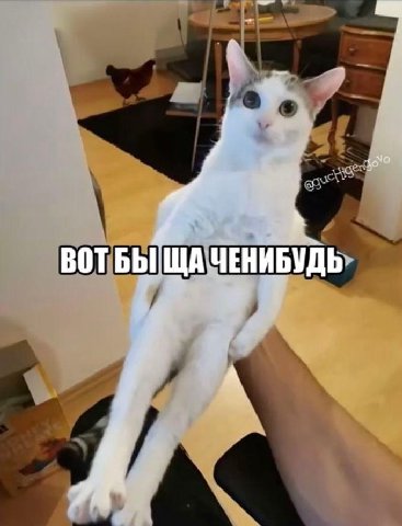 ВОТБЫЩА ЧЕНИБУДЬ