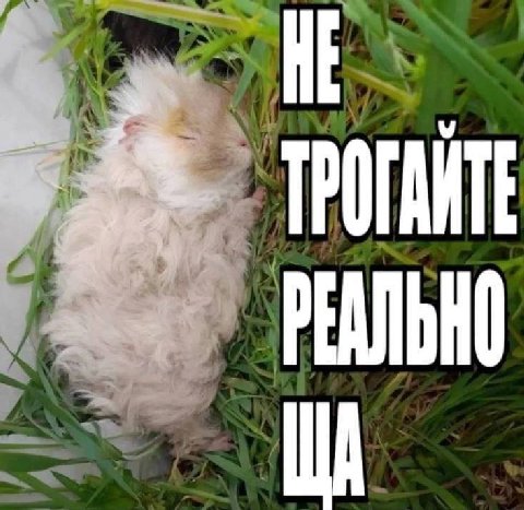 РЕАЛЬНО