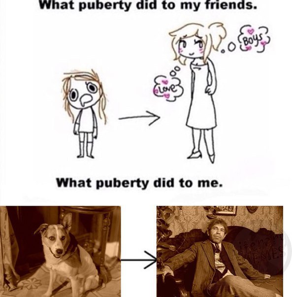 What puberty did to my Тпепа$. As What puberty did to me. A