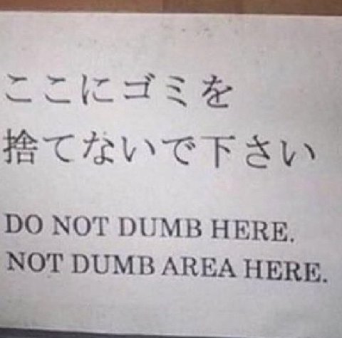 NOT DUMB HERE. NOT DUMB AREA HERE.
