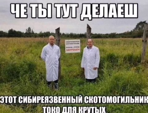ТУТ ДЕЛАЕШ ЭТОТ СИБИРЕЯЗВЕННЫЙ СНОТОМОГИЛЬНИК TOKO ДЛЯ НРУТЫХ