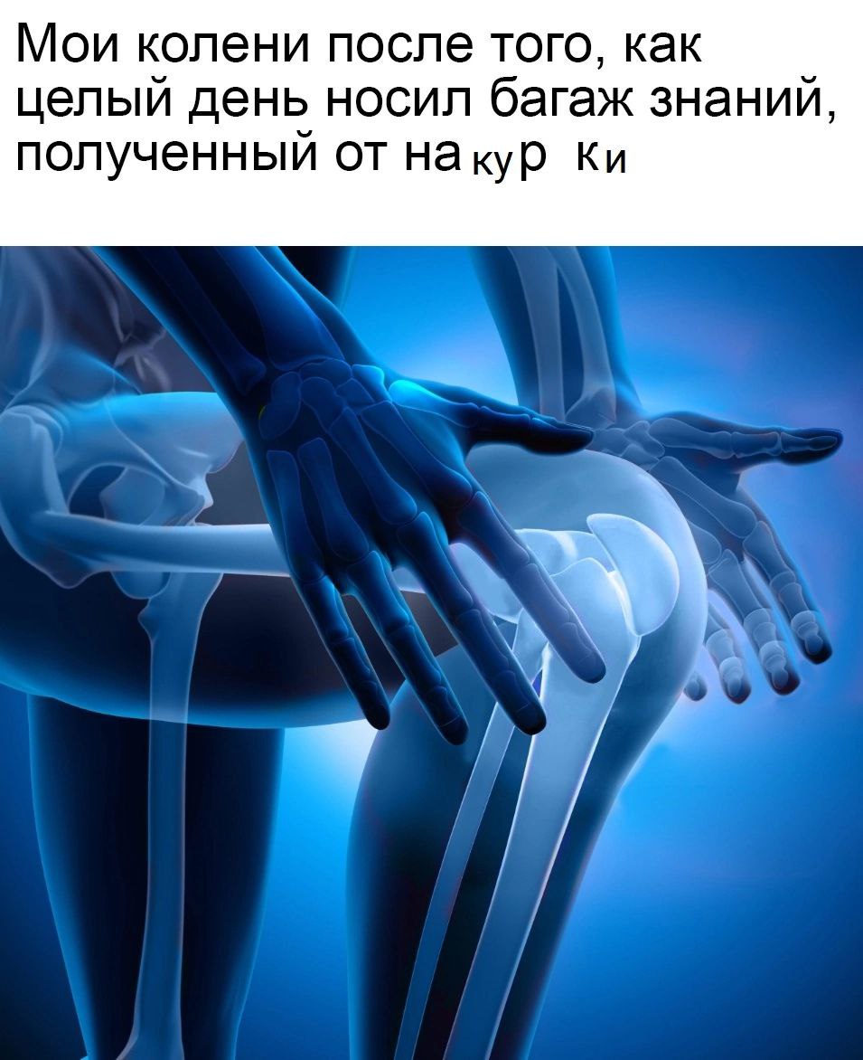 Мои колени после того, как целый день носил багаж знаний, полученный от накур