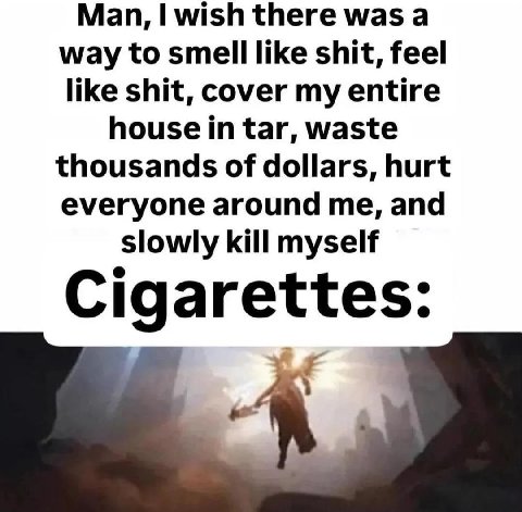 Man, wish there was а way to smell like shit, feel like shit, cover my entire house in tar, waste thousands of dollars, hurt everyone around me, and slowly kill myself Cigarettes: