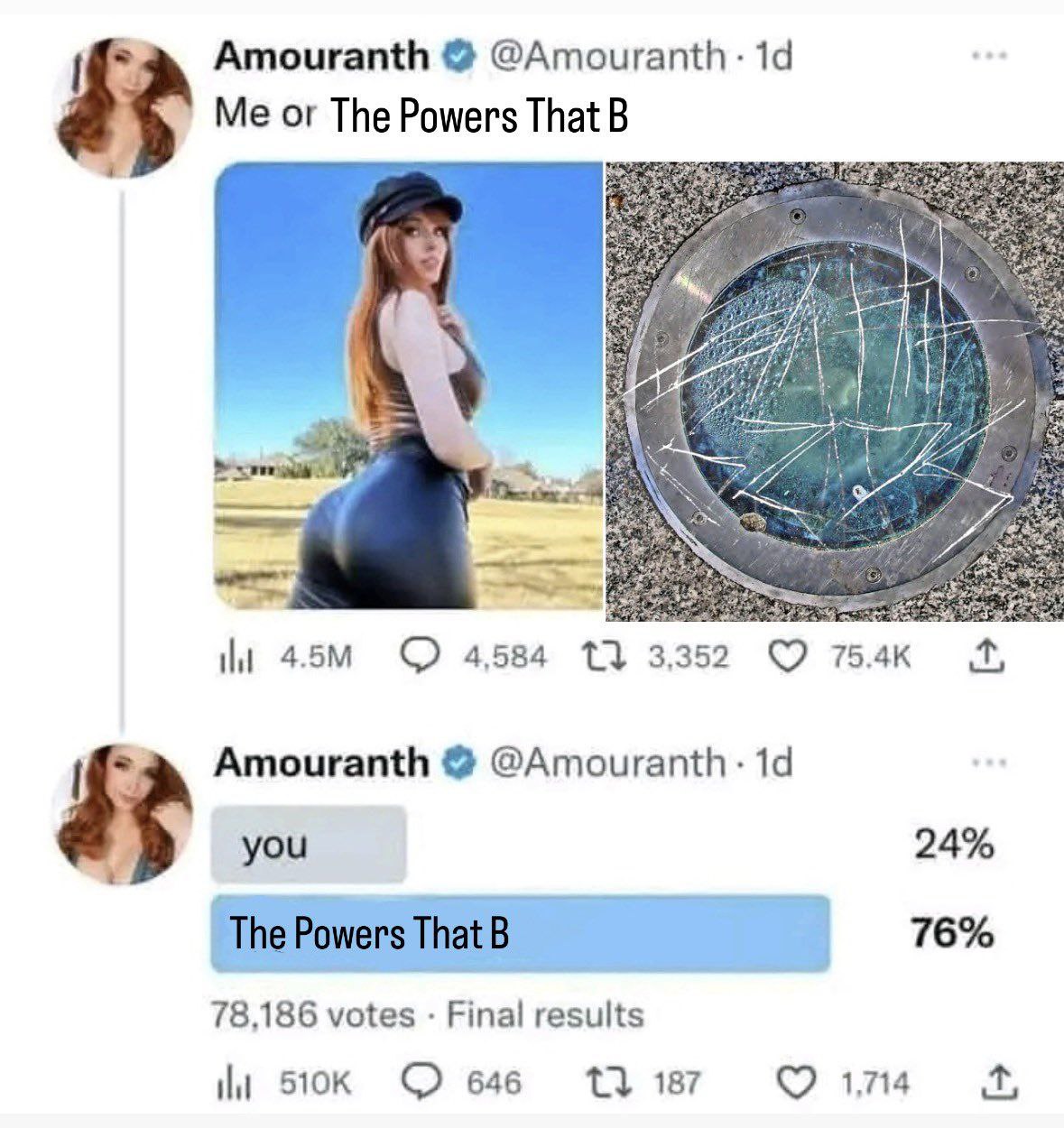 Amouranth @Amouranth- Me or The Powers That В i О 4584 13 3352 754к Amouranth you 24% 76% 78,186 votes Final results О 646 187 174