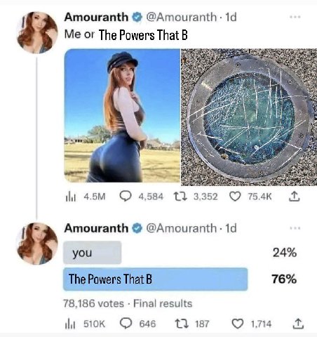 Amouranth @Amouranth- Me or The Powers That В i О 4584 13 3352 754к Amouranth you 24% 76% 78,186 votes Final results О 646 187 174