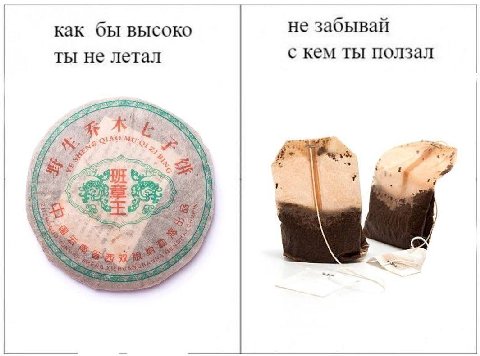 как бы высоко не забывай ты не летал с кем ты ползал i 4 a