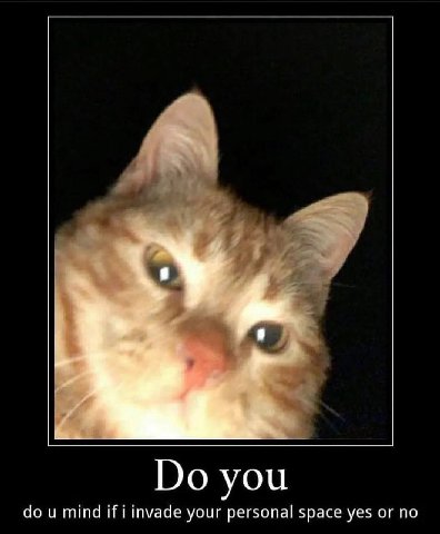 you mind И! invade your personal space yes or по