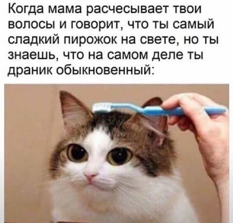 Когда мама расчесывает твои волосы и говорит, что ты самый сладкий пирожок на свете, но ты знаешь, что на самом деле ты драник обыкновенный:
