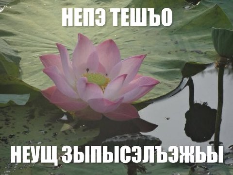 НЕУЩ