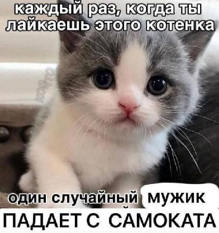 каждый этого котен “4 4 эдин’случайный мужик ПАДАЕТ С САМОКАТА