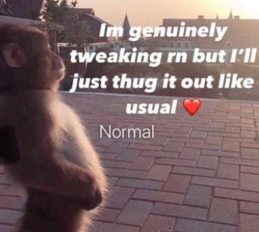 genuinely tweaking but I'll just thug it out like usual