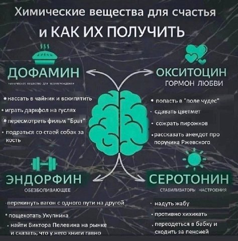 Химические вещества для счастья ПОЛУЧИТЬ ДОФАМИН ОКСИТОЦИН ХИМИЧЕСКОЕ ВЕЩЕСТВО ДЛЯ ВОЗНАГРАЖДЕНИЯ ГОРМОН ЛЮБВИ нассать в чайник и вскипятить попасть в "поле чудес" играть даркфол на гуслях сдавать цве