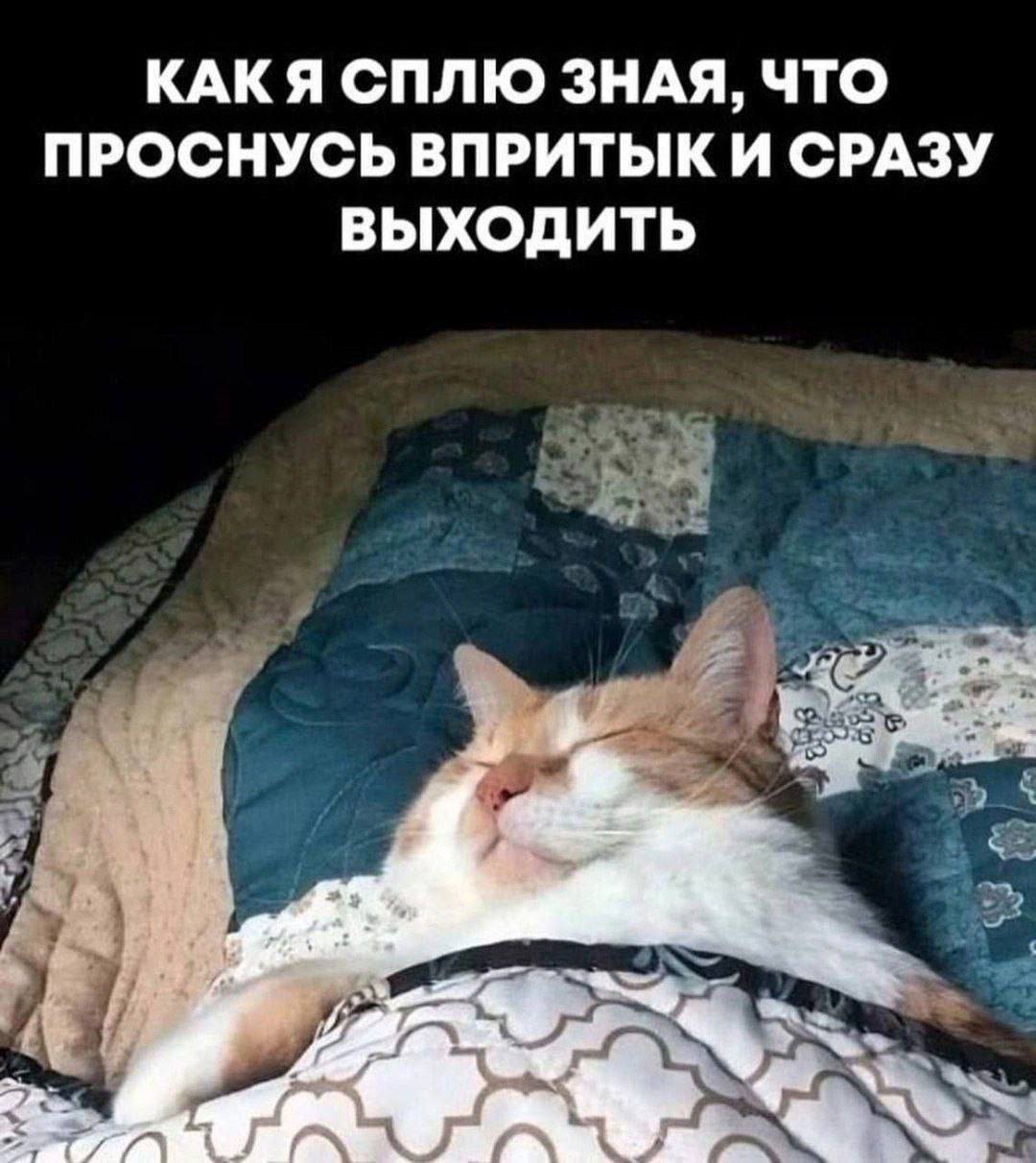 КАКЯ СПЛЮ ЗНАЯ, ЧТО ПРОСНУСЬ ВПРИТЫК И СРАЗУ ВЫХОДИТЬ