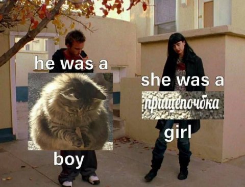 he was a she а girl boy