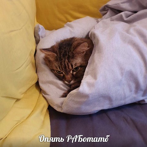 Опять
