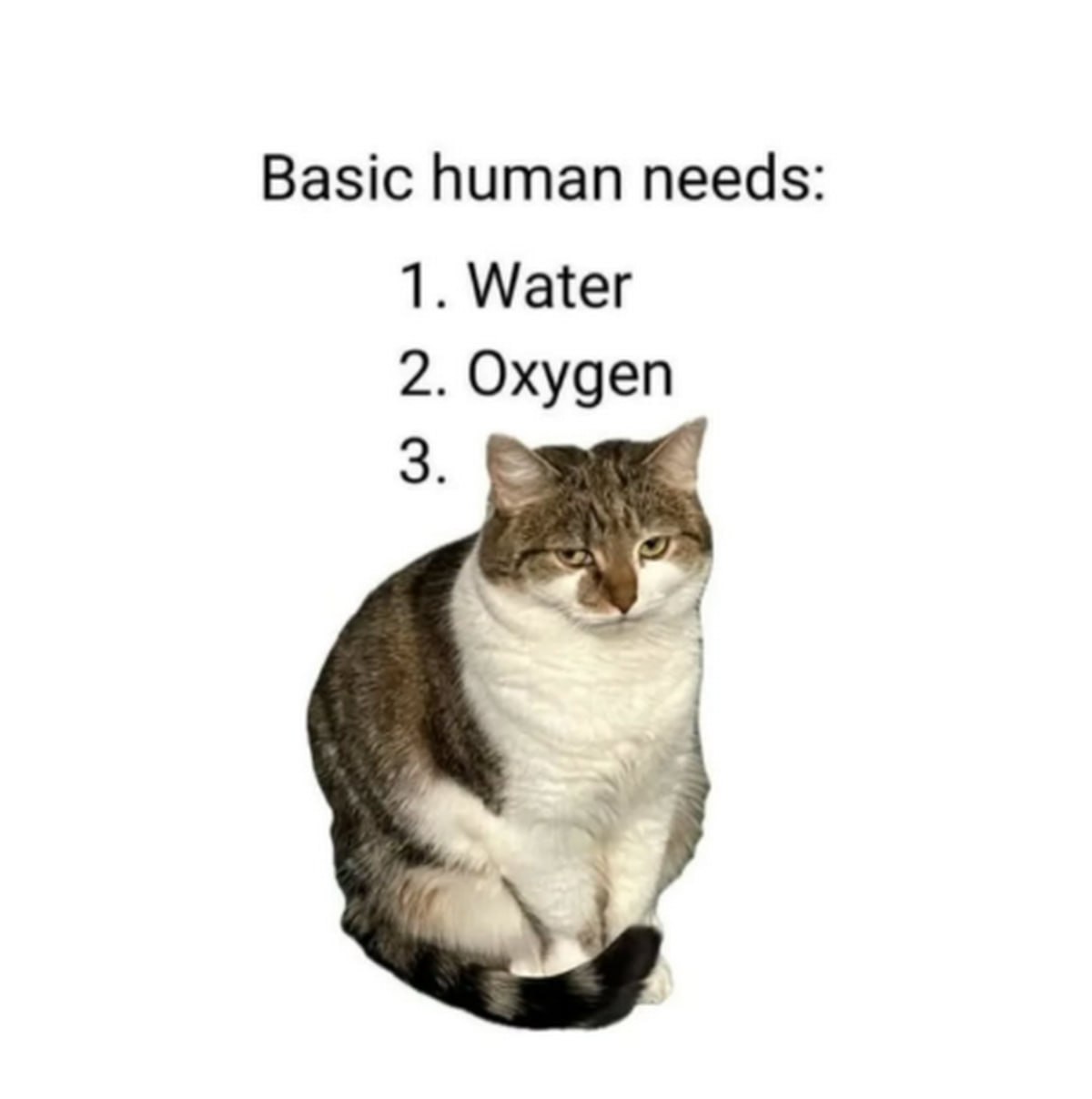 Basic human needs 1. Water 2. Oxygen