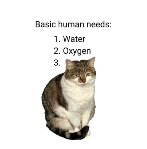 Basic human needs 1. Water 2. Oxygen