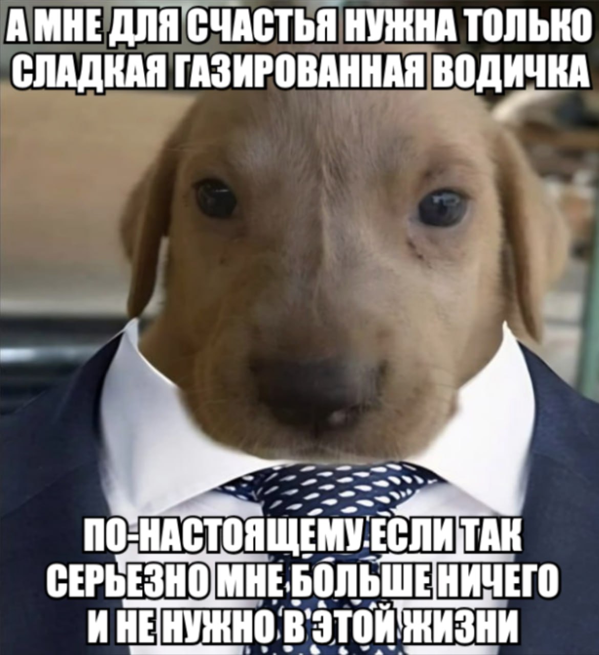 ДЛЯ СЧАСТЬЯ НУЖНА ТОЛЬКО СЛАДКАЯ ГАЗИРОВАННАЯ ВОДИЧКА по СЕР ЗНОМНЕБОЛЬШЕНИЧЕГО ИНЕН 0. этой