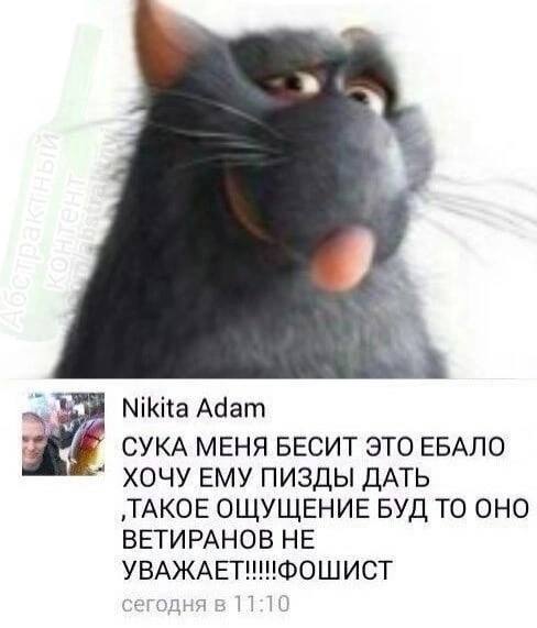 Nikita Adam СУКА МЕНЯ БЕСИТ ЭТО ЕБАЛО ХОЧУ ЕМУ ПИЗДЫ ДАТЬ ОЩУЩЕНИЕ БУД ТО OHO ВЕТИРАНОВ НЕ сегодня в 11:10