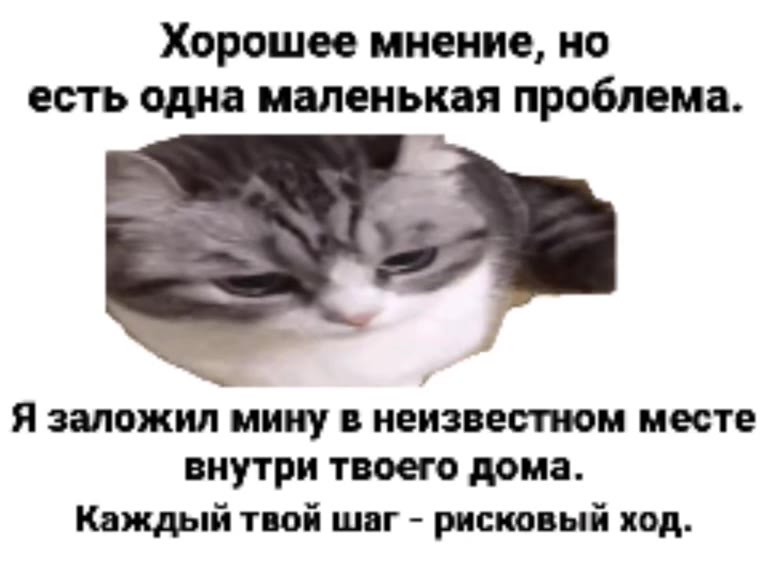 Хорошее мнение, но есть одна маленькая проблема. Я заложил мину в неизвестном месте внутри твоего дома. Каждый твой шаг - рисковый ход.