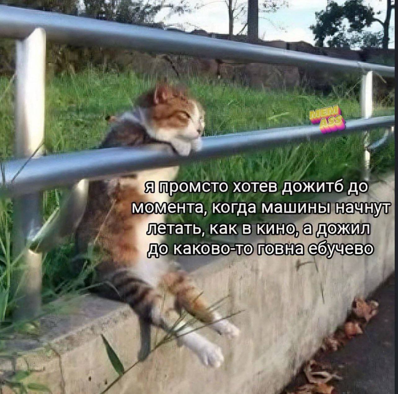 (4 я промсто хотев дожитб до момента, когда машины начнут летать, как в кино, а дожил до каково-то говна ебучево