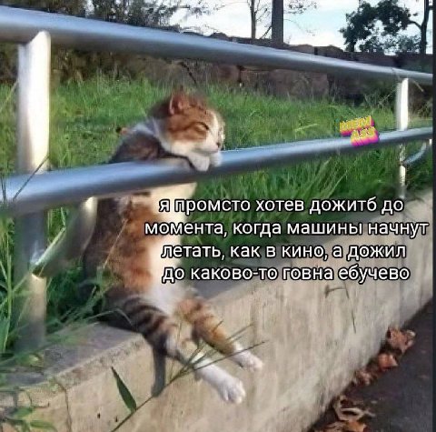 (4 я промсто хотев дожитб до момента, когда машины начнут летать, как в кино, а дожил до каково-то говна ебучево