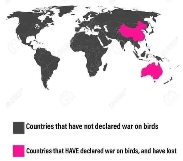 4 a Countries that have not declared war on birds Countries that HAVE declared war on birds, and have lost