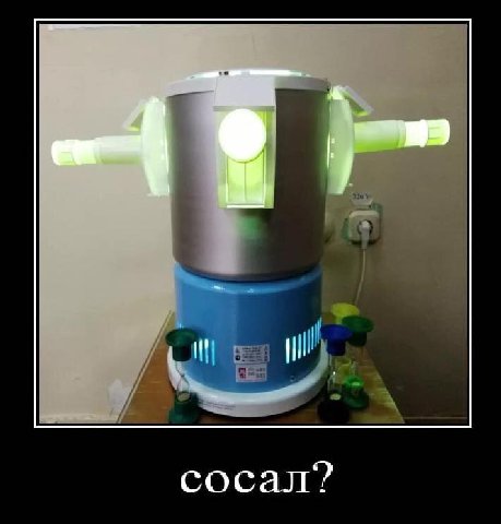 сосал?