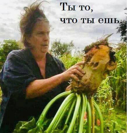 Ты то, что ты ешь: 4 “i