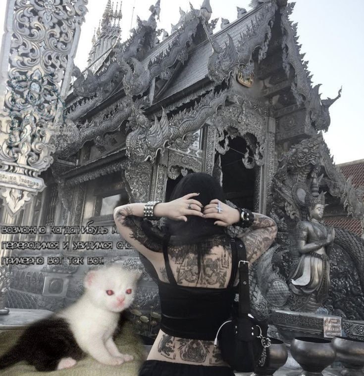Я 4 4 an 2> В 4 Lil Vive о